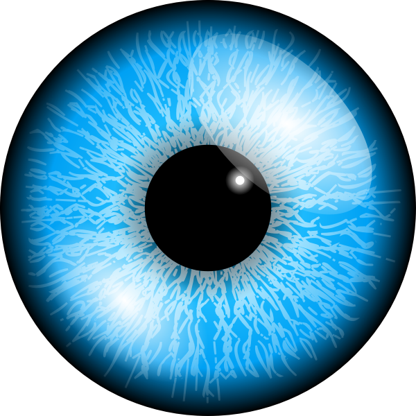 Blue eye vector image | Free SVG