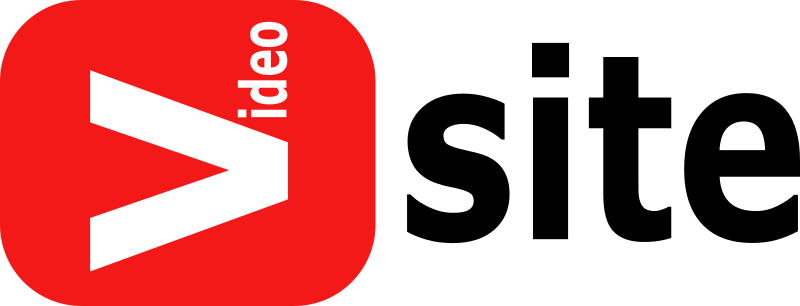 Fake Video Site Logo