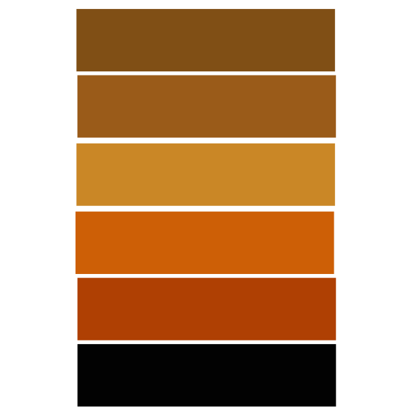 Autumn palette vector image