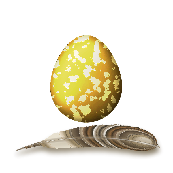 feather and egg