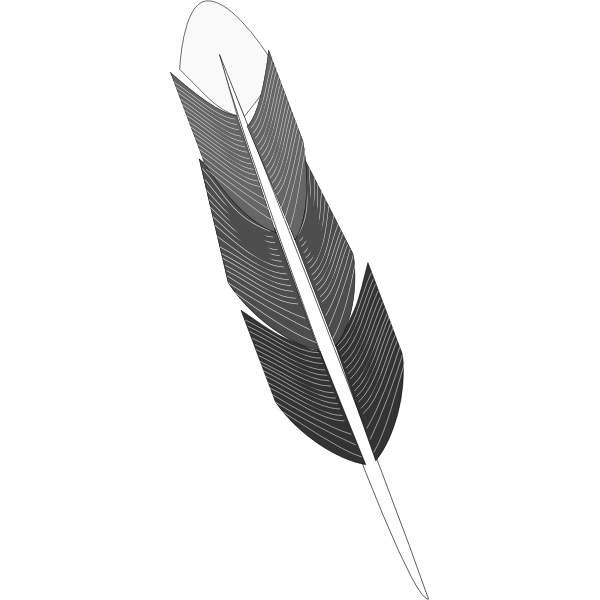Drawing of grey feather