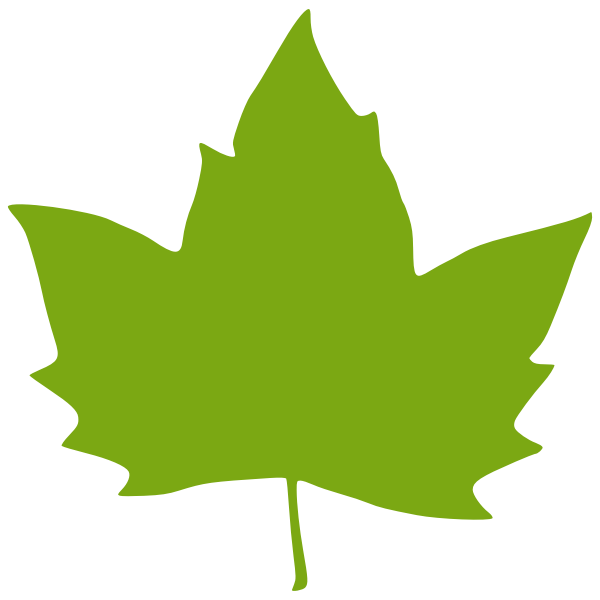 Download Vector Illustration Of A Maple Leaf Free Svg