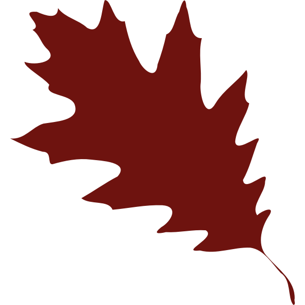 A red leaf silhouette vector illustration