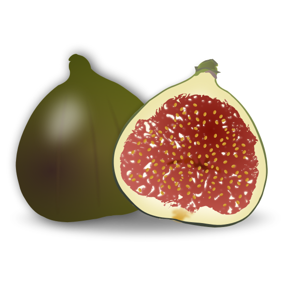 Download Fig Fruit Free Svg