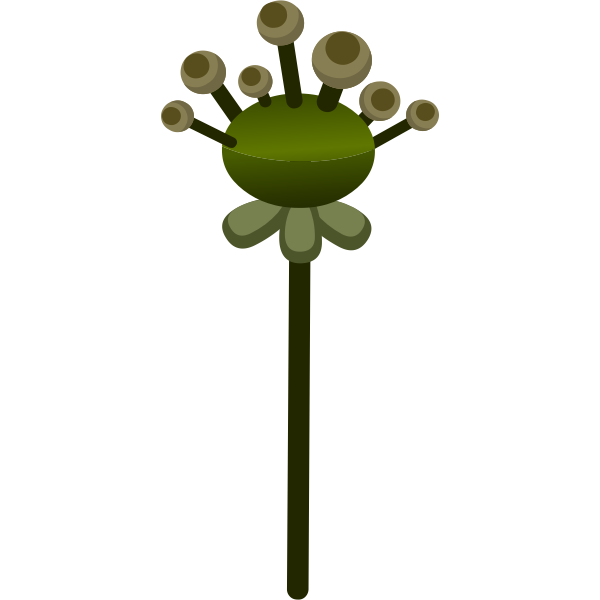 Vector drawing of straight stem flower