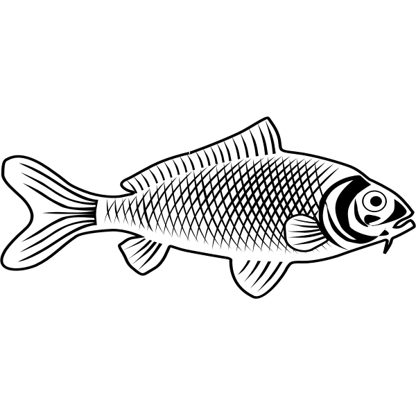 Fish line art