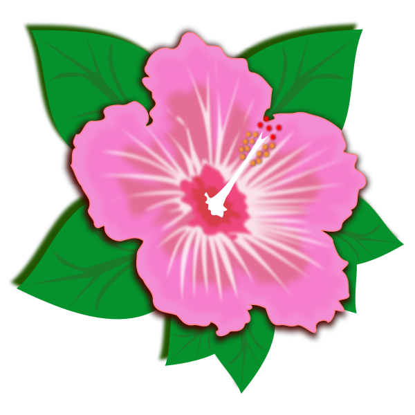 Pink flower with green leaves