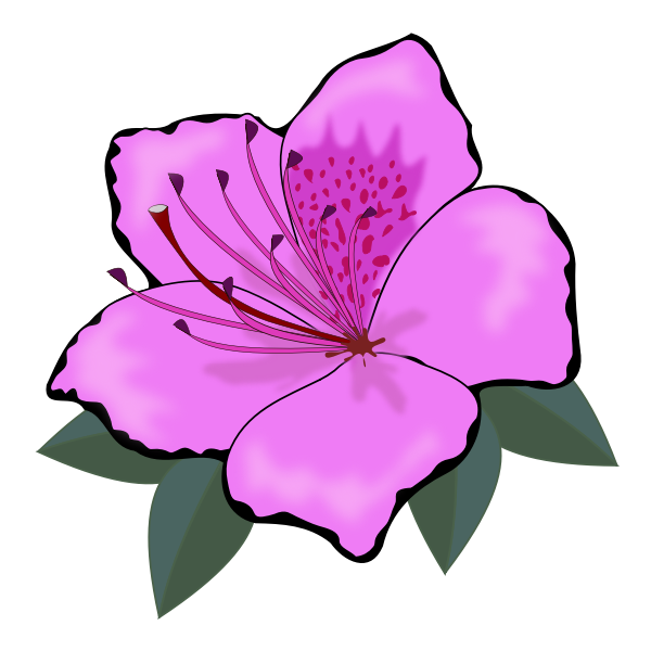 Pink flower clip art graphics Free SVG