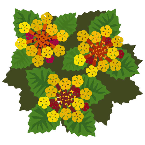 Wild yellow flowers | Free SVG