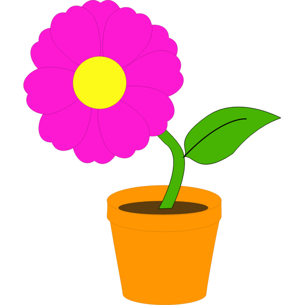 Flower and pot