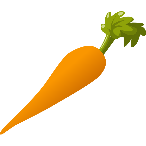 Carrot veggie