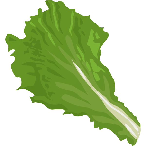 Veggie leaf | Free SVG