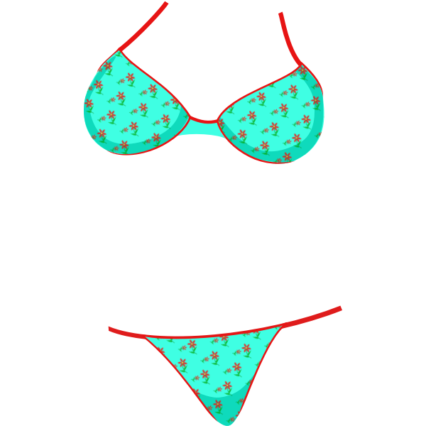 Bikini vector image