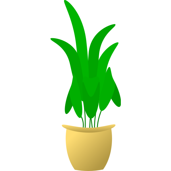 Illustration of large leafed plant in pot
