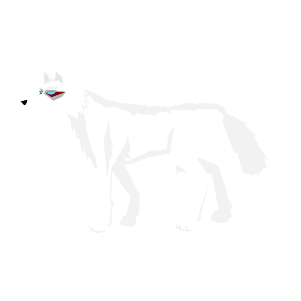 Wolf on white background