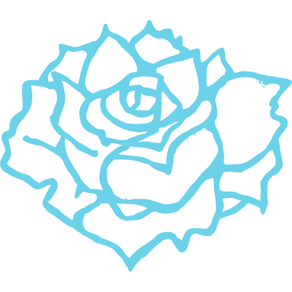 Vector illustration of full bloom rose in blue outline