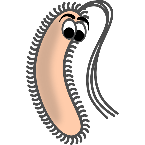 Funny bacillus