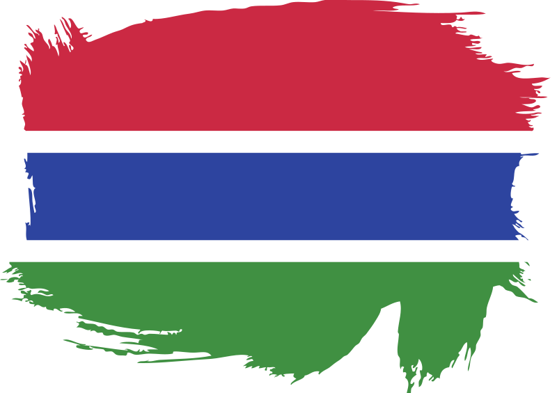 Gambia painted flag