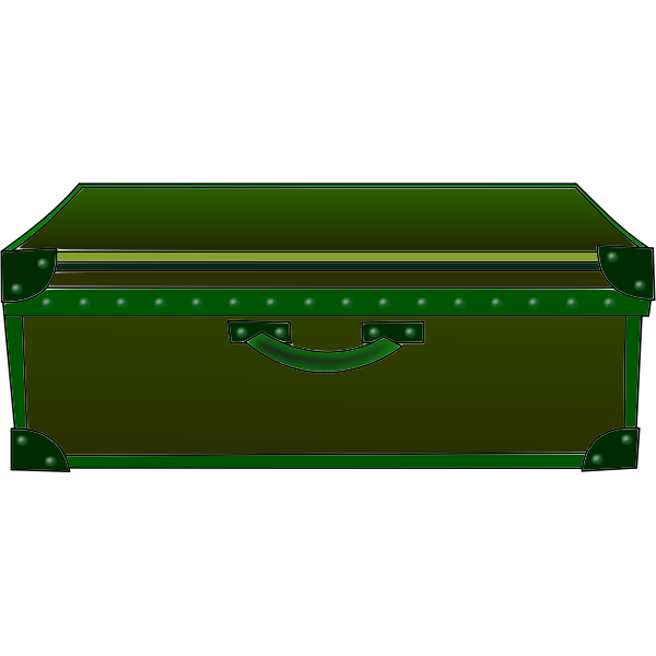 Green suitcase-1611073739