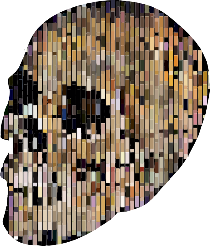 Abstract Rectangles geometric skull