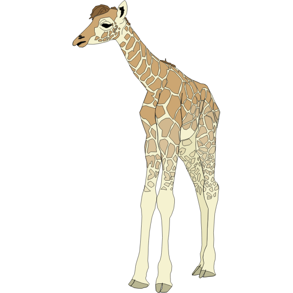 Download Drawing Of Baby Giraffe Free Svg