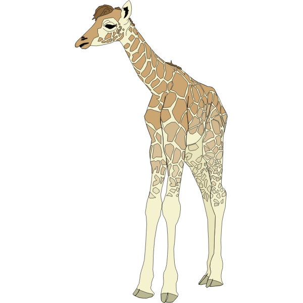 Drawing of Baby Giraffe