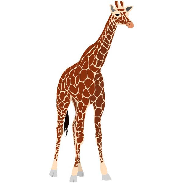 Vector illustration of tall brown giraffe