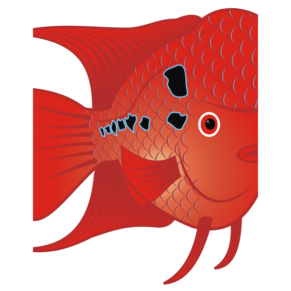 goldfish red | Free SVG