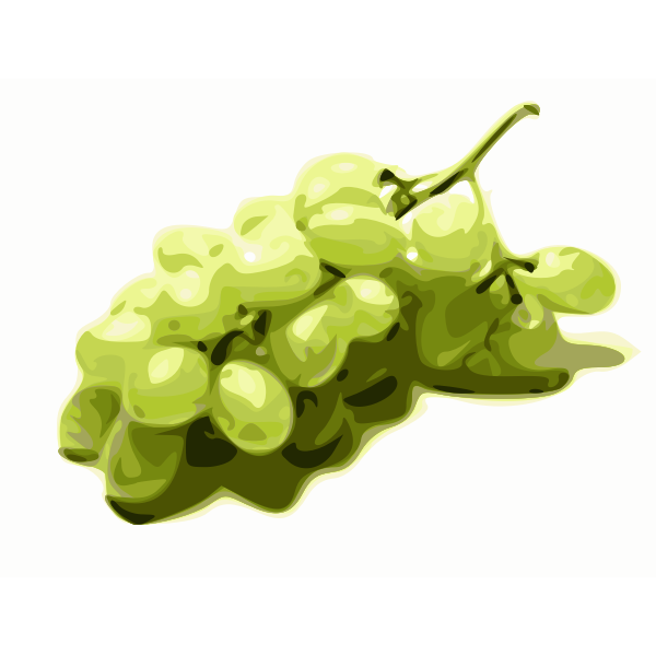 Image of stylized green grapes