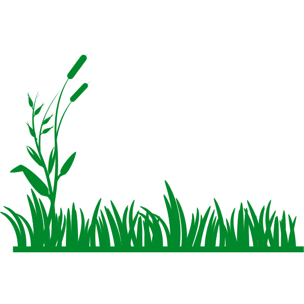 Download Vector Graphics Of Grass Background Free Svg