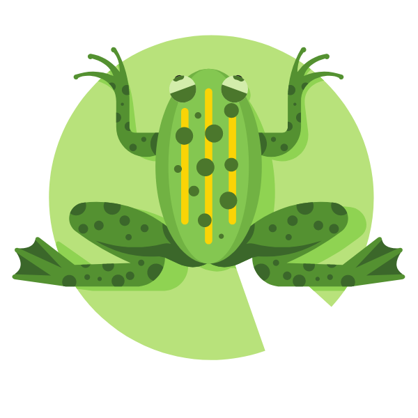 Green frog on a leaf