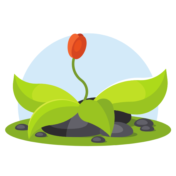 Red flower with big green leaves