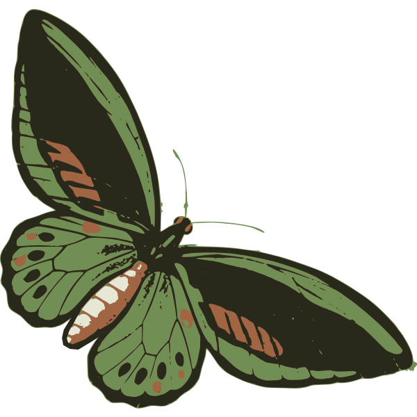 greenbutterfly
