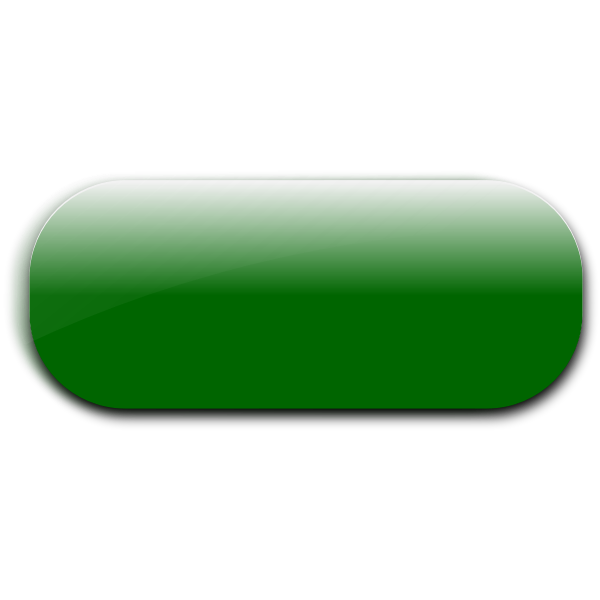 Horizontal pill shaped green button vector image