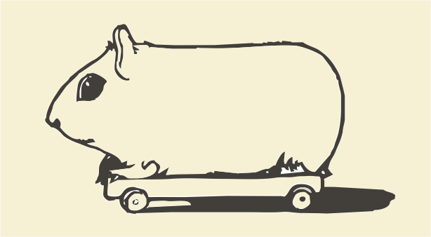 Pig on wheels