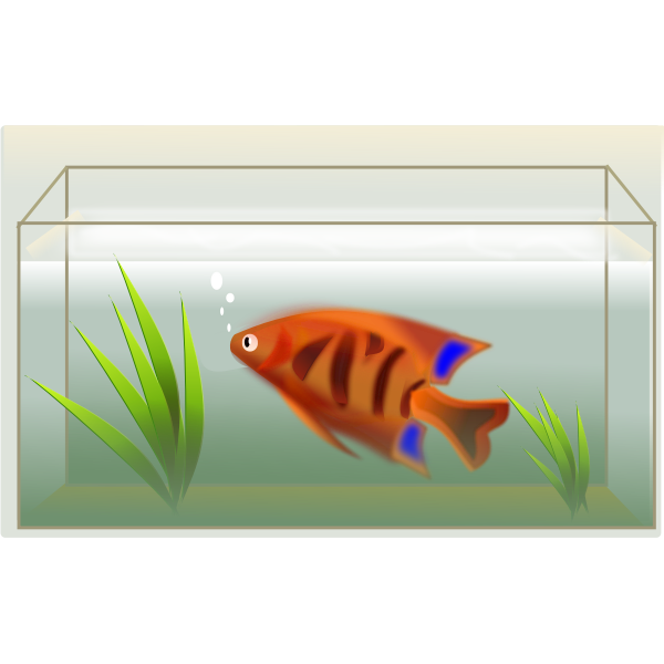 Orange fish in aquarium vector illustration