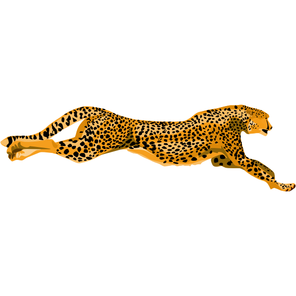 Leopard cheetah vector image