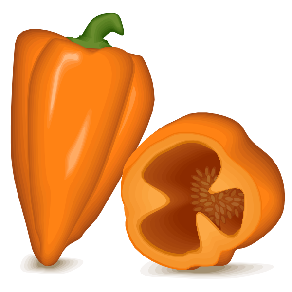 Orange pepper bell