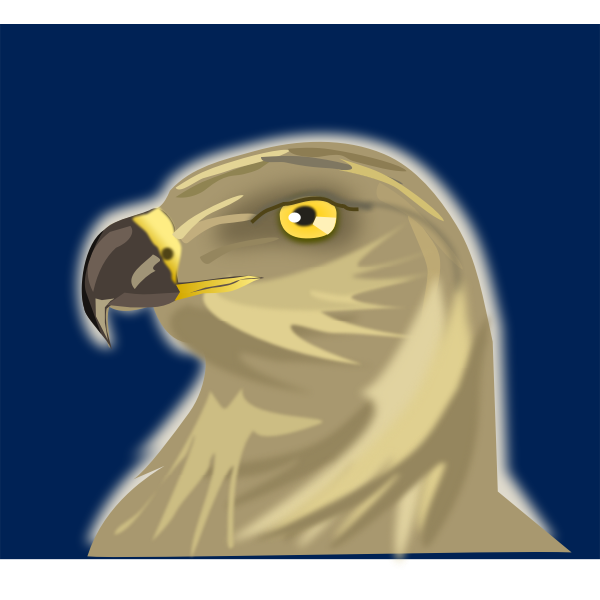 Hawk | Free SVG