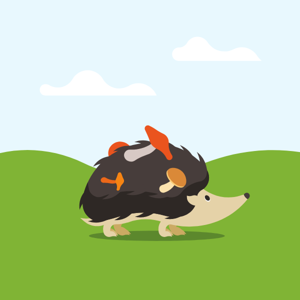 A hedgehog