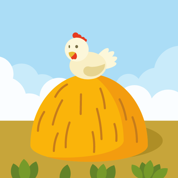Hen on a haystack
