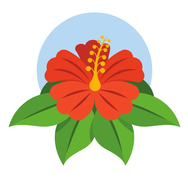 Red hibiscus flower