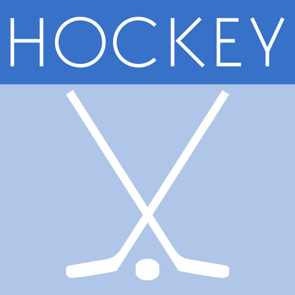 Vector illustration of hockey game icon