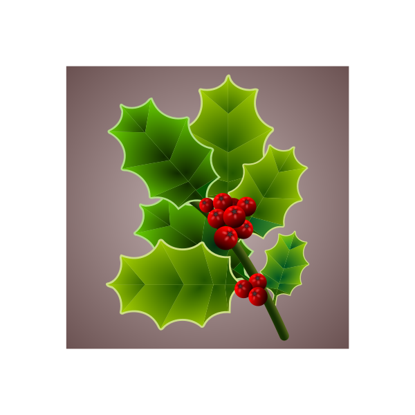 Holly branch image