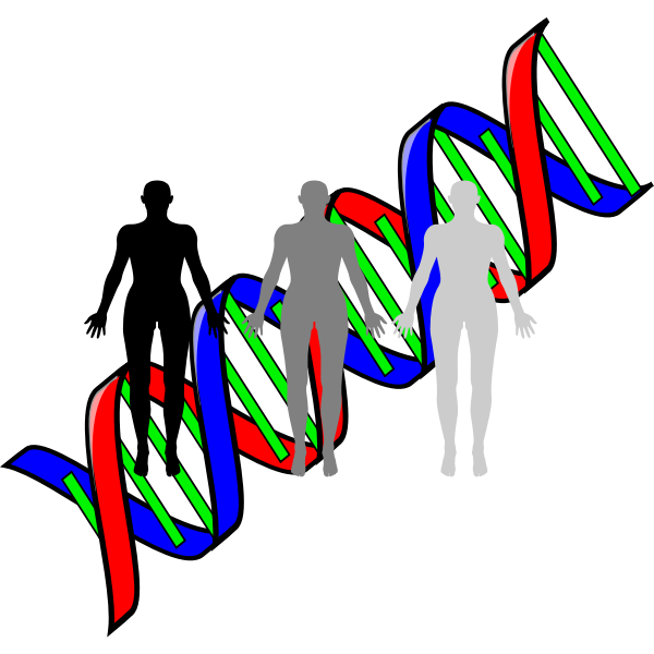 Plasmid vector | Free SVG