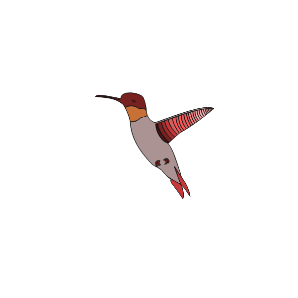 Vector image of flying humming bird
