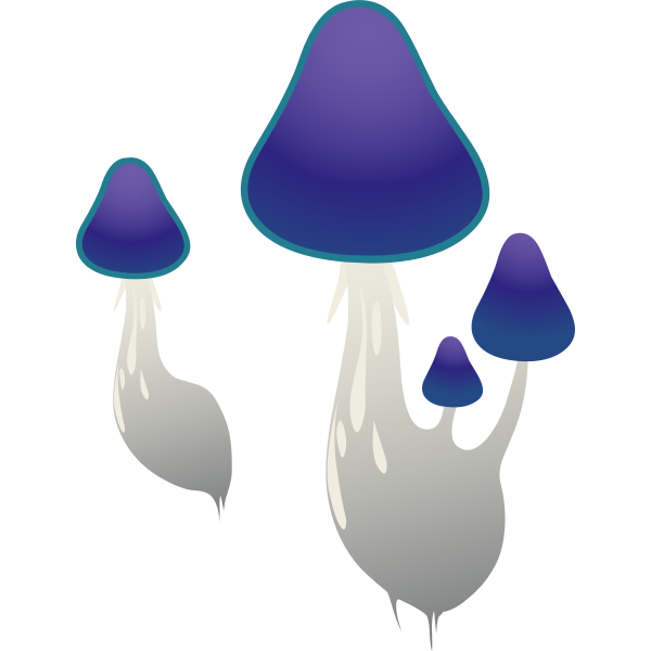 ilmenskie purple mushroom 1