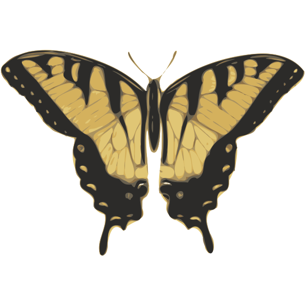 Download Vector image of tiger pattern butterfly | Free SVG