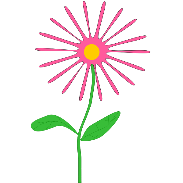 Whimsical pink flower
