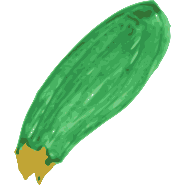 jiangyi 99 zucchini